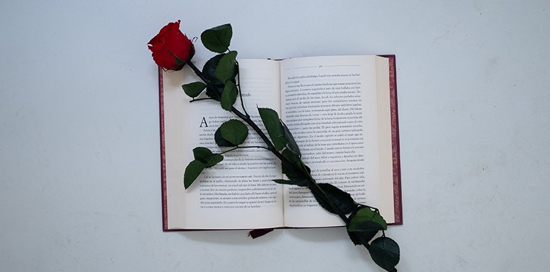 Un libro y una rosa